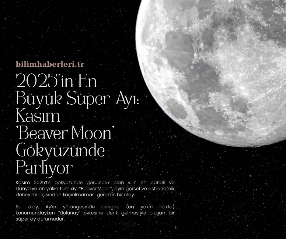 2025’in En Büyük Süper Ayı: Kasım ’Beaver Moon’ Gökyüzünde Parlıyor
